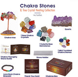 Aviano Chakra Stones & Tree Crystal Healing Collection - 24pcs - Raw & Tumbled Polished Stone Set - Lava Bracelet - Natural Amethyst Rose Quartz & More - Reference Guide - Balancing Chakras Reiki