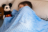 Weighted Blanket w/ Cover for Kids